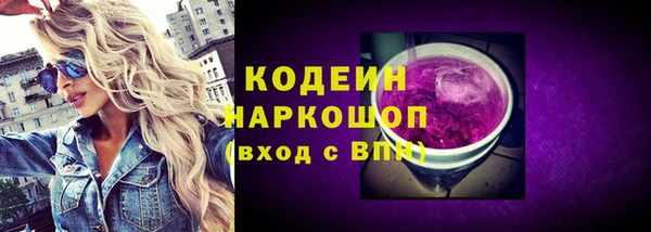 шишки Елизово