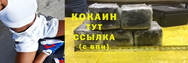 ECSTASY Ельня