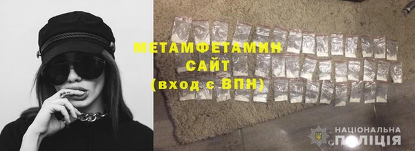 шишки Елизово