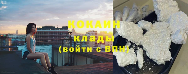 гашик Галич