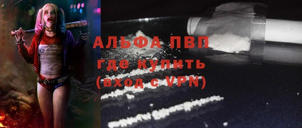 шишки Елизово