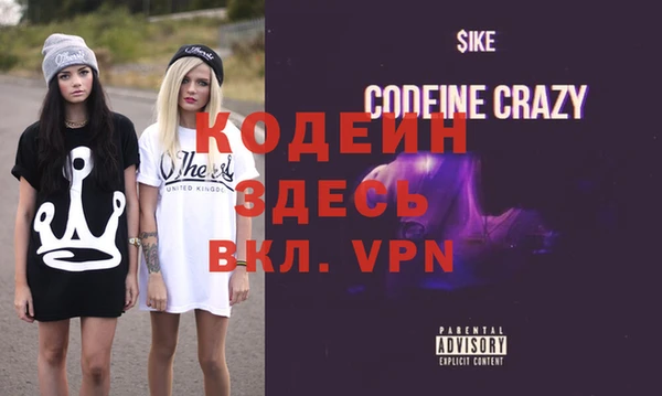 шишки Елизово