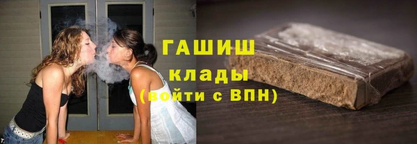 шишки Елизово