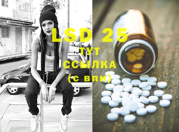 ECSTASY Ельня