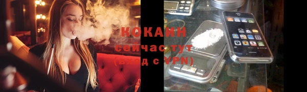 ECSTASY Ельня