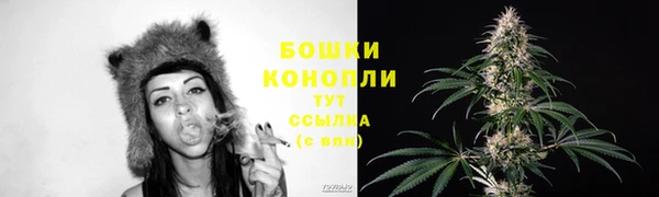ECSTASY Ельня