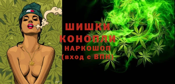 шишки Елизово
