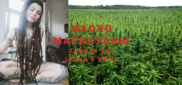 шишки Елизово