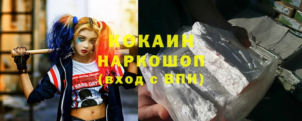ECSTASY Ельня