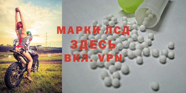 шишки Елизово