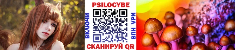Псилоцибиновые грибы мицелий  закладка  Закаменск 